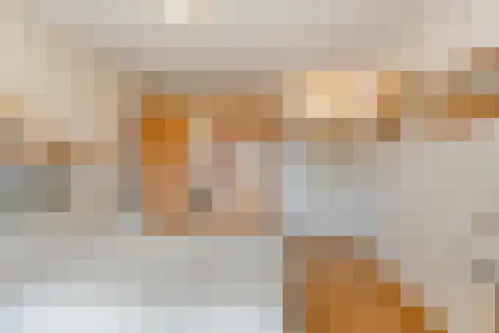 Commissarislaan 76 Zwolle thumbnail 28