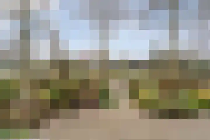 Commissarislaan 76 Zwolle thumbnail 32