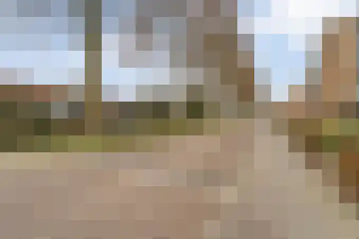 Commissarislaan 76 Zwolle thumbnail 39