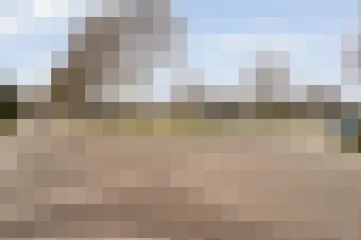 Commissarislaan 76 Zwolle thumbnail 40