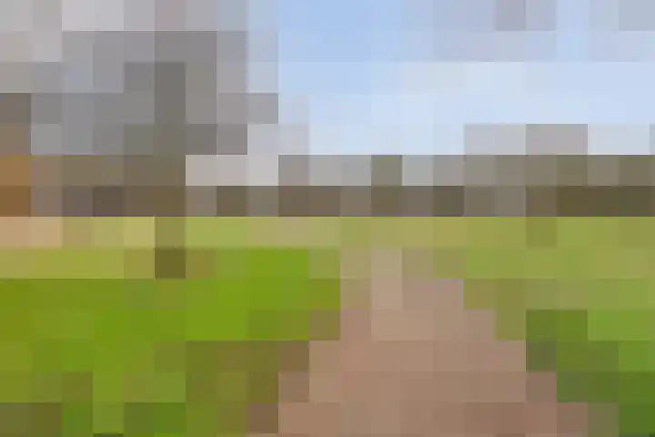 Commissarislaan 76 Zwolle thumbnail 42