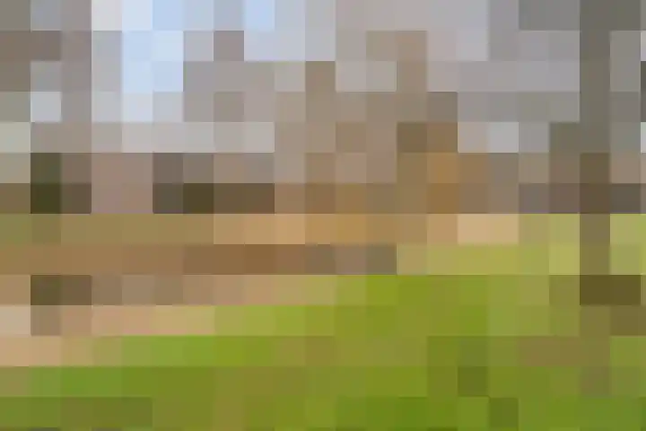 Commissarislaan 76 Zwolle thumbnail 43