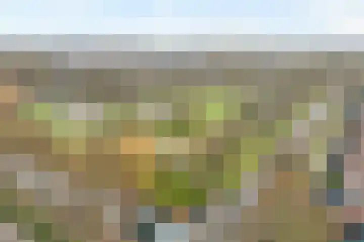 Commissarislaan 76 Zwolle thumbnail 7