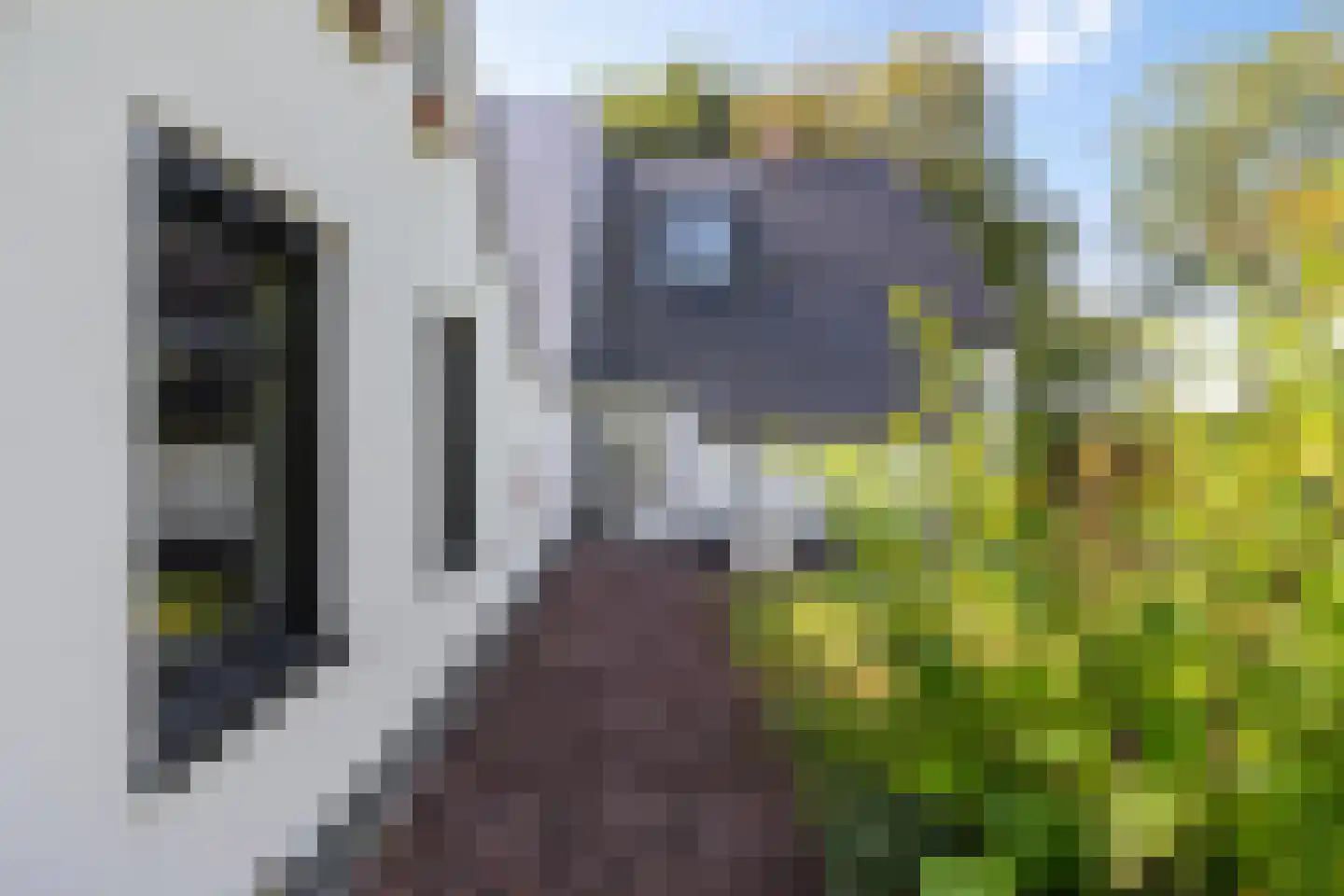 Commissiebos 6 Zevenhuizen thumbnail 10