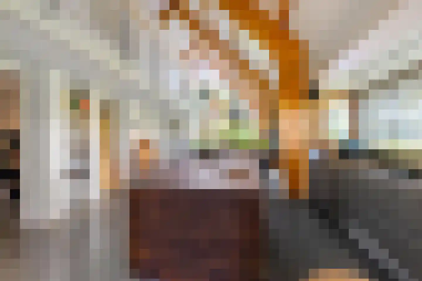 Commissiebos 6 Zevenhuizen thumbnail 14