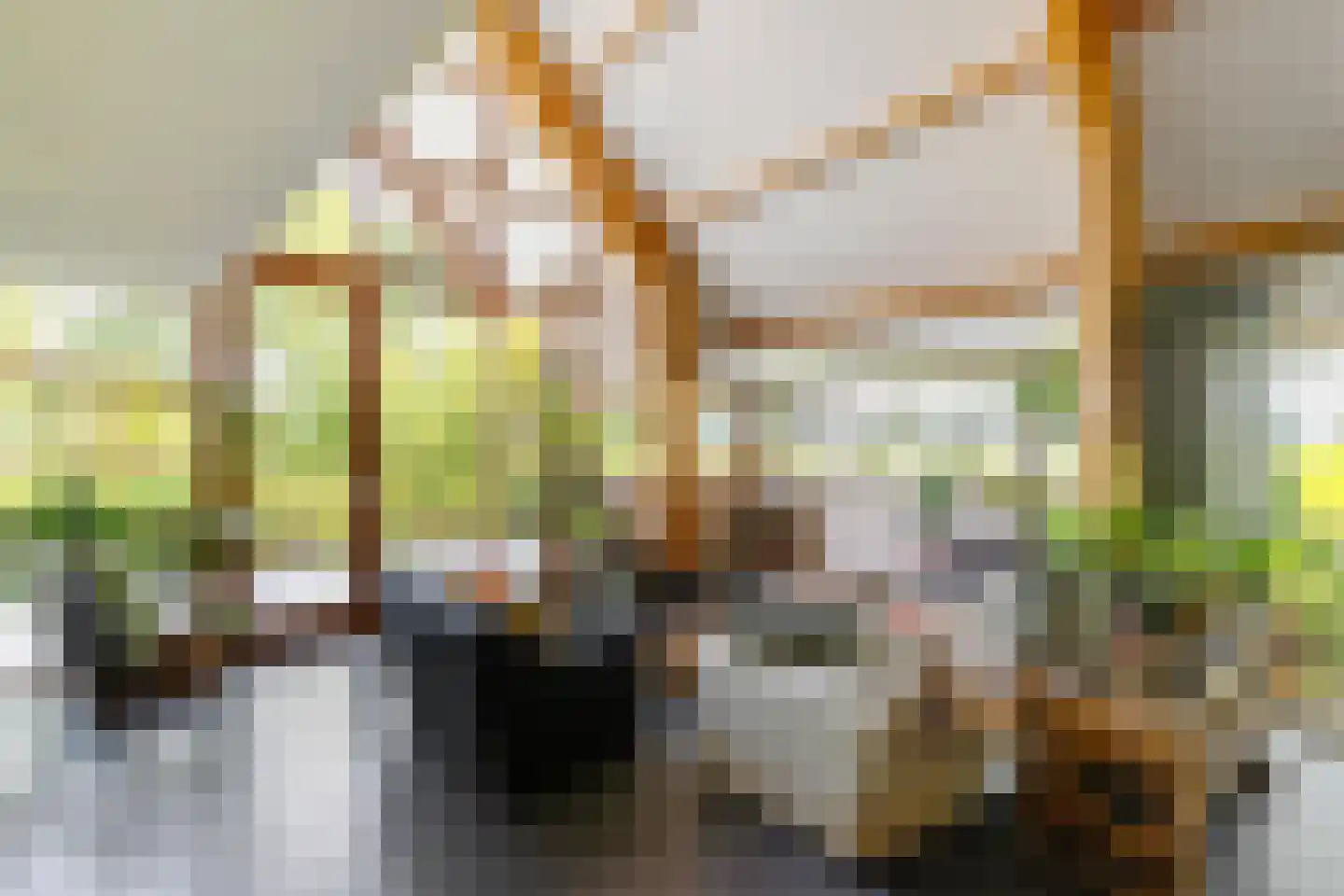 Commissiebos 6 Zevenhuizen thumbnail 15