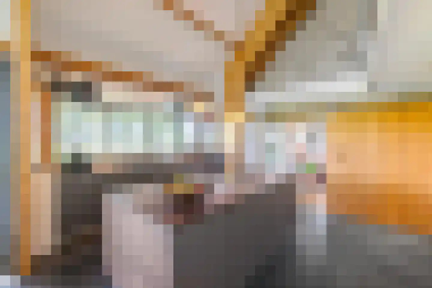 Commissiebos 6 Zevenhuizen thumbnail 18