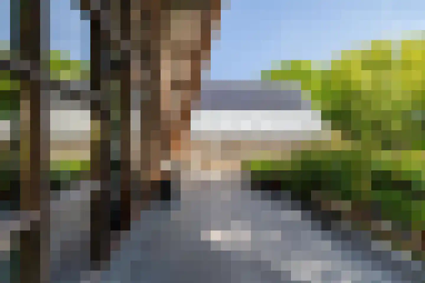 Commissiebos 6 Zevenhuizen thumbnail 20