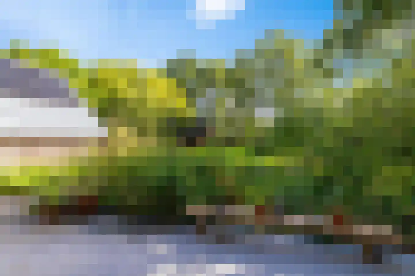 Commissiebos 6 Zevenhuizen thumbnail 21