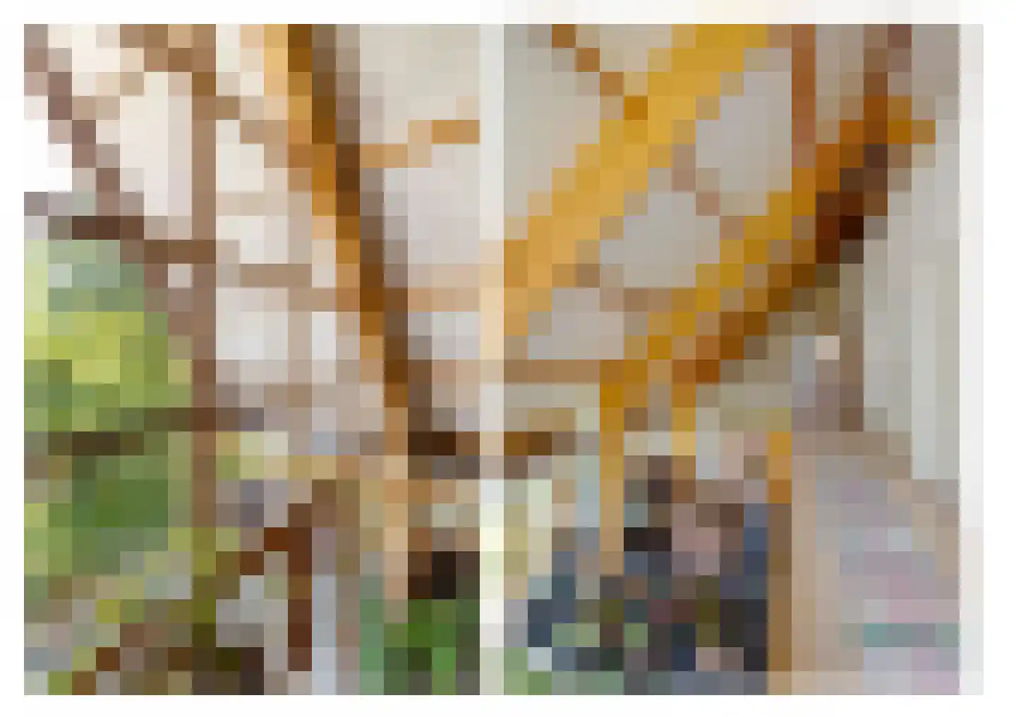 Commissiebos 6 Zevenhuizen thumbnail 28