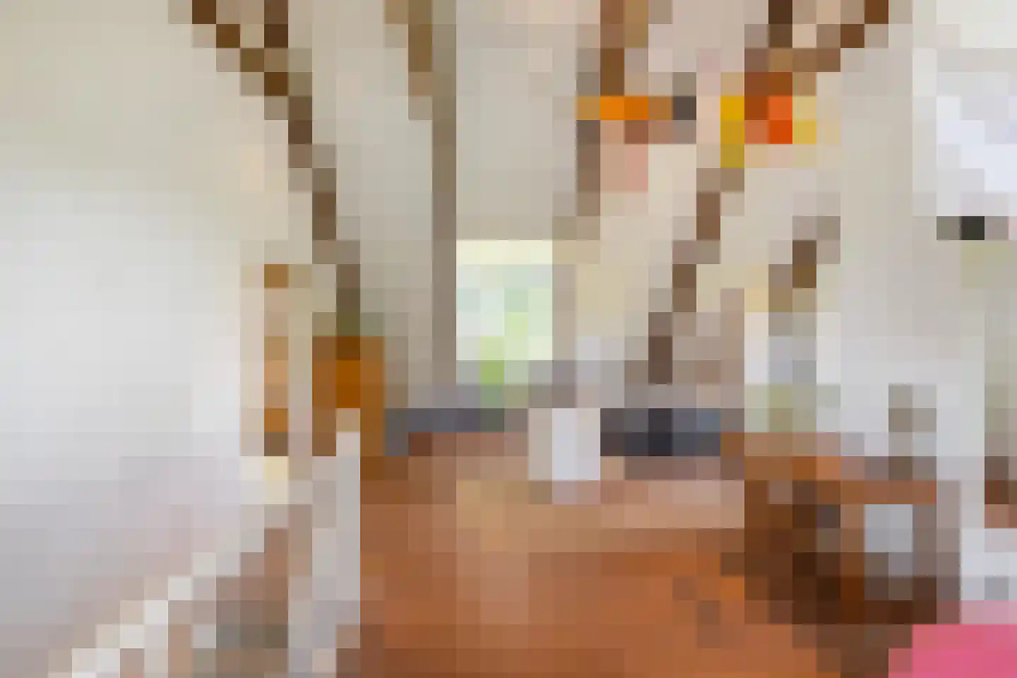 Commissiebos 6 Zevenhuizen thumbnail 34