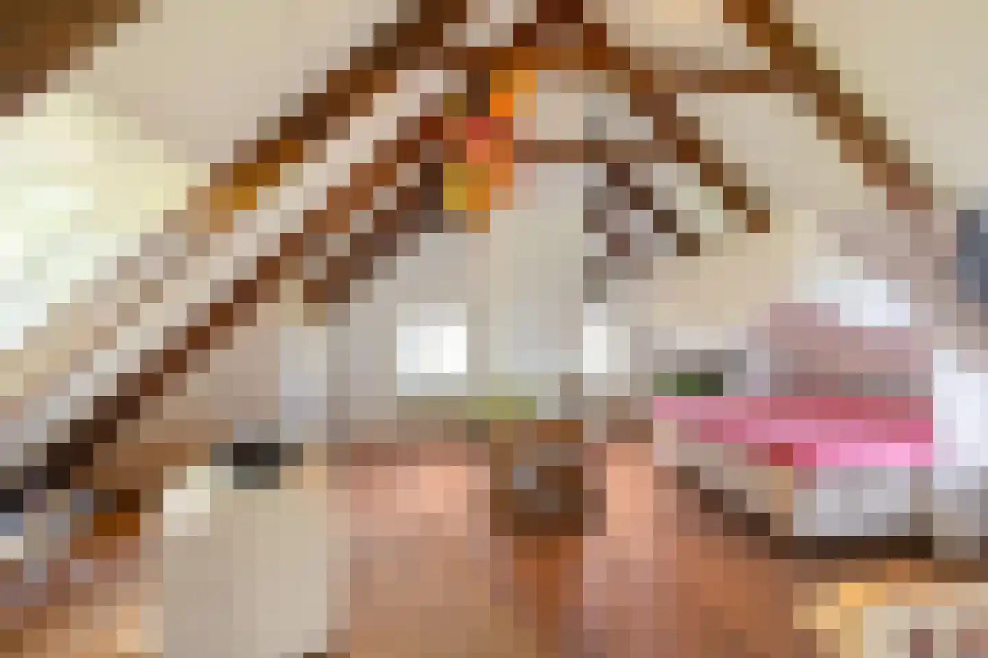 Commissiebos 6 Zevenhuizen thumbnail 35
