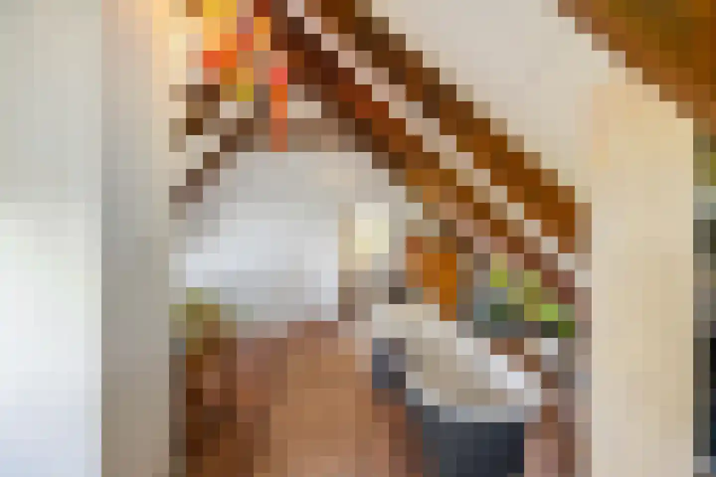 Commissiebos 6 Zevenhuizen thumbnail 36