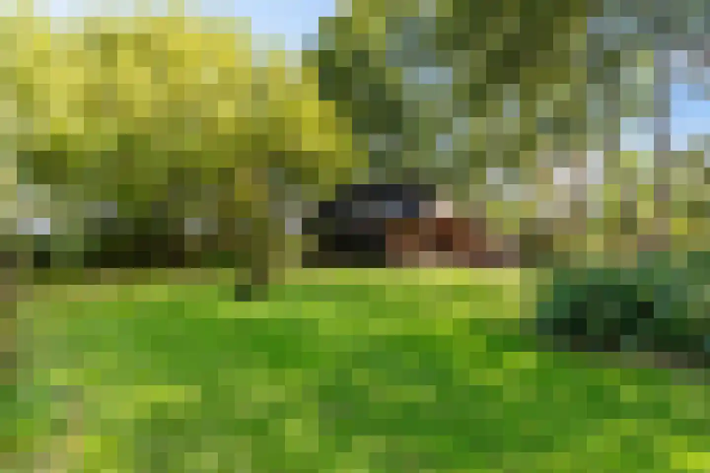 Commissiebos 6 Zevenhuizen thumbnail 37