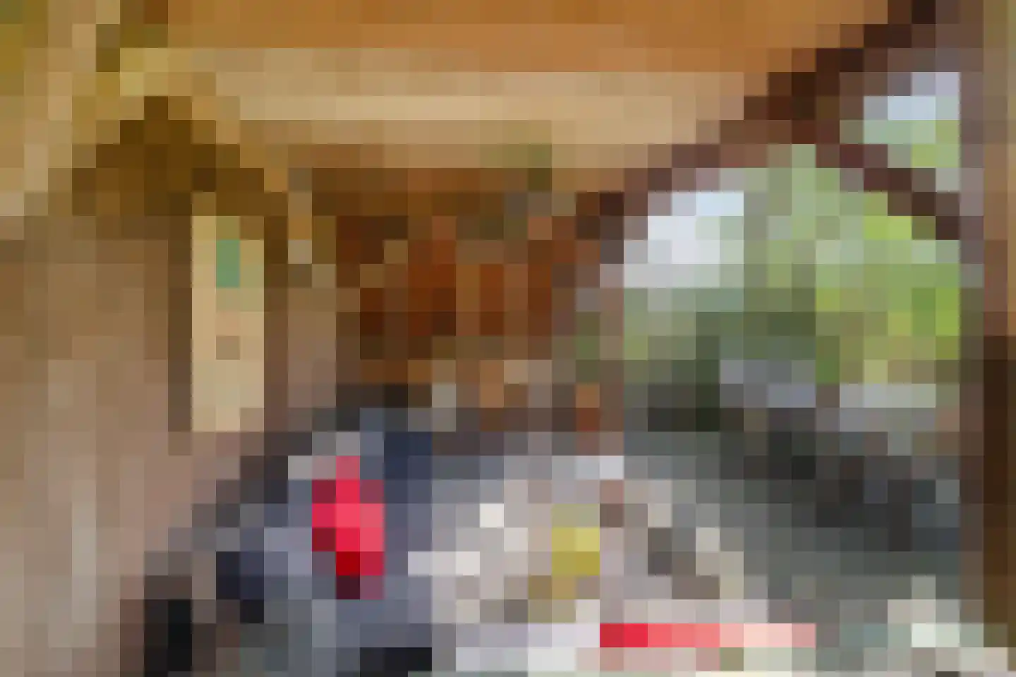 Commissiebos 6 Zevenhuizen thumbnail 38
