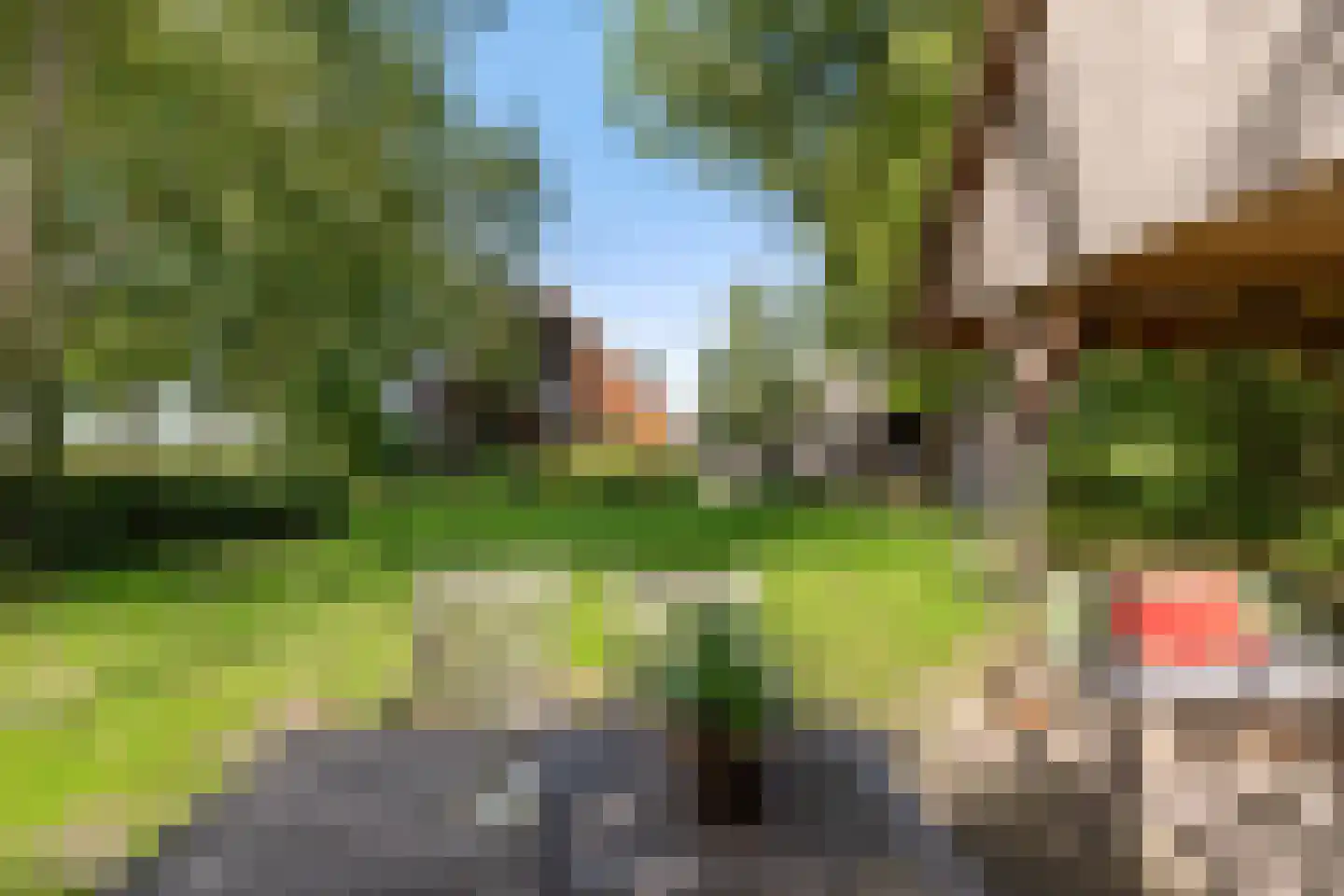 Commissiebos 6 Zevenhuizen thumbnail 39
