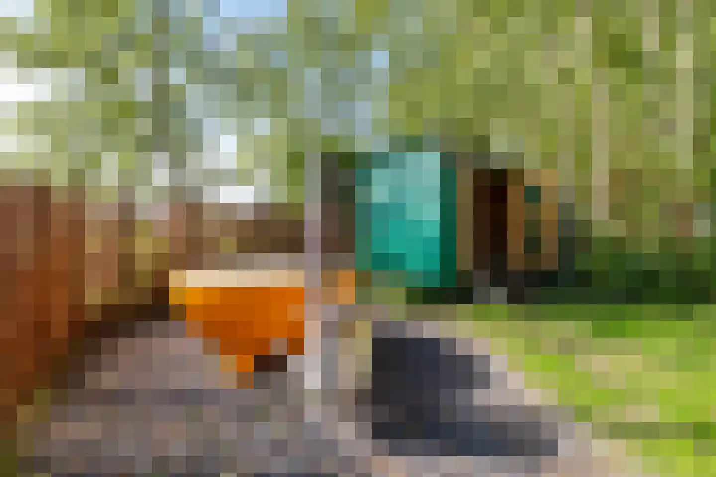 Commissiebos 6 Zevenhuizen thumbnail 41