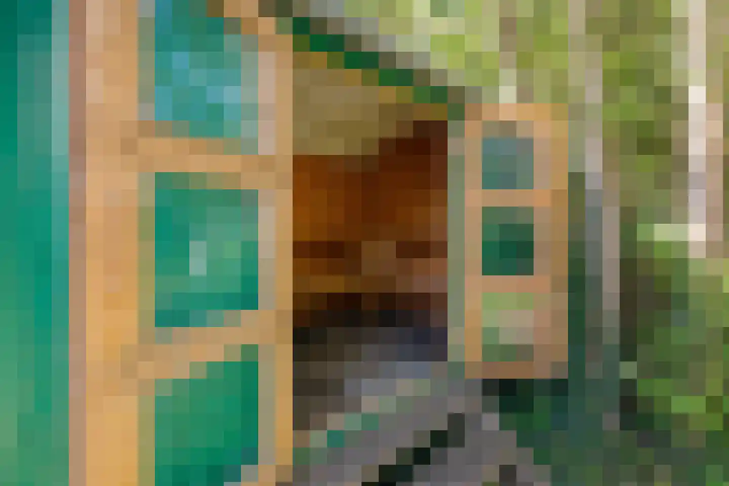 Commissiebos 6 Zevenhuizen thumbnail 42