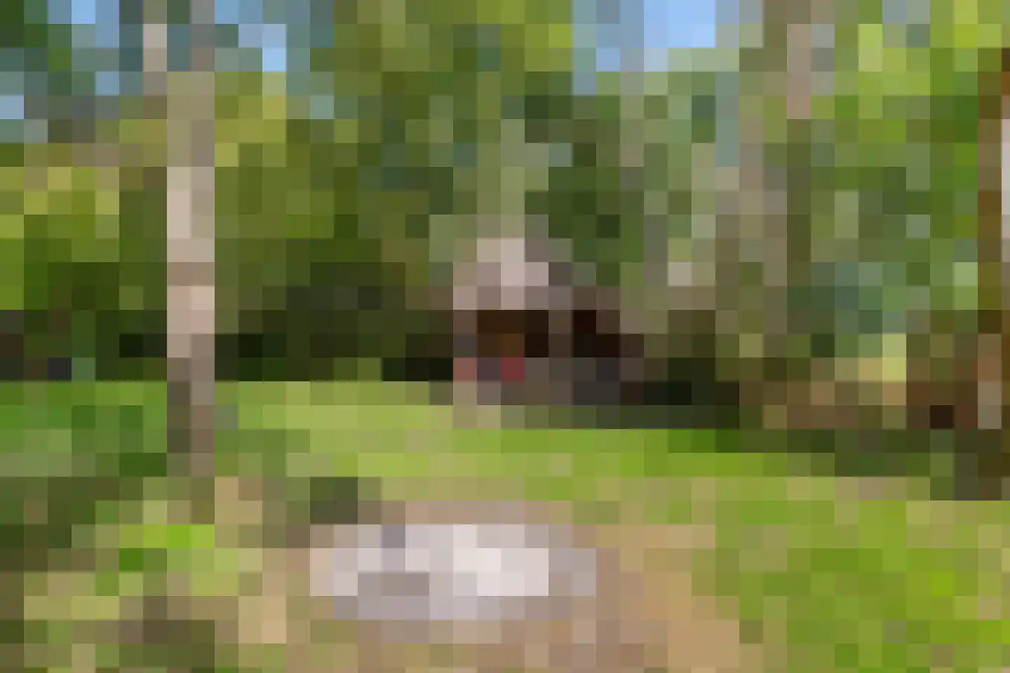 Commissiebos 6 Zevenhuizen thumbnail 43