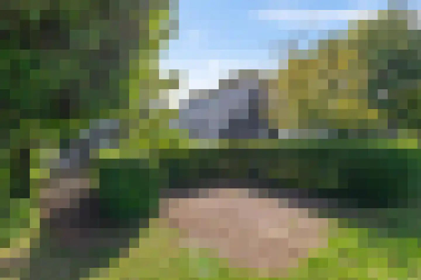 Commissiebos 6 Zevenhuizen thumbnail 45