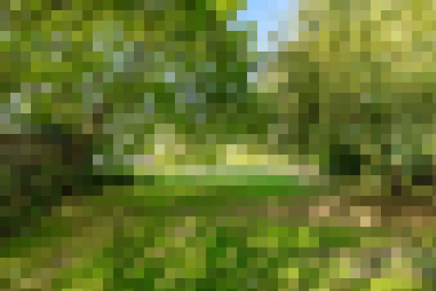 Commissiebos 6 Zevenhuizen thumbnail 46