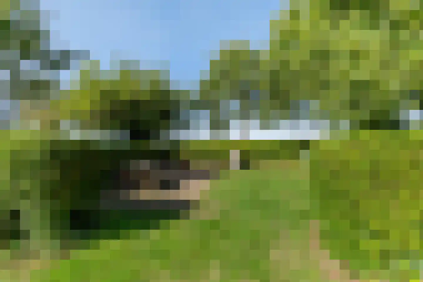 Commissiebos 6 Zevenhuizen thumbnail 47