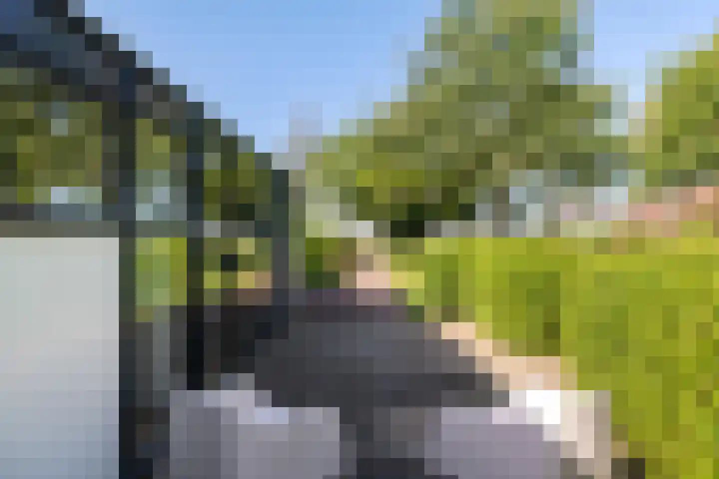 Commissiebos 6 Zevenhuizen thumbnail 48