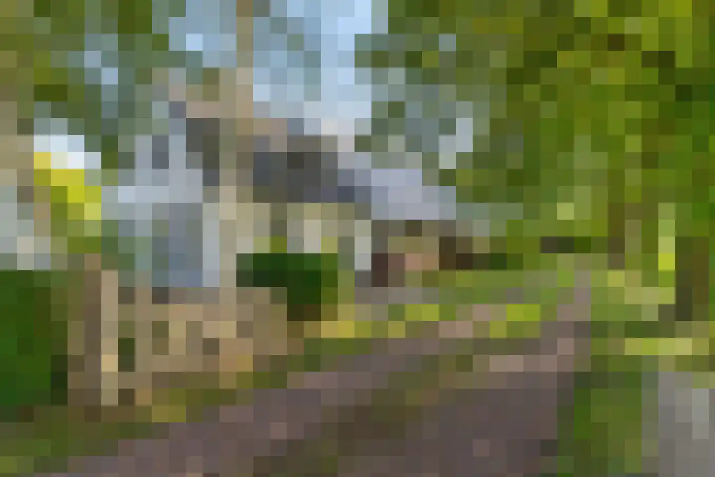 Commissiebos 6 Zevenhuizen thumbnail 5