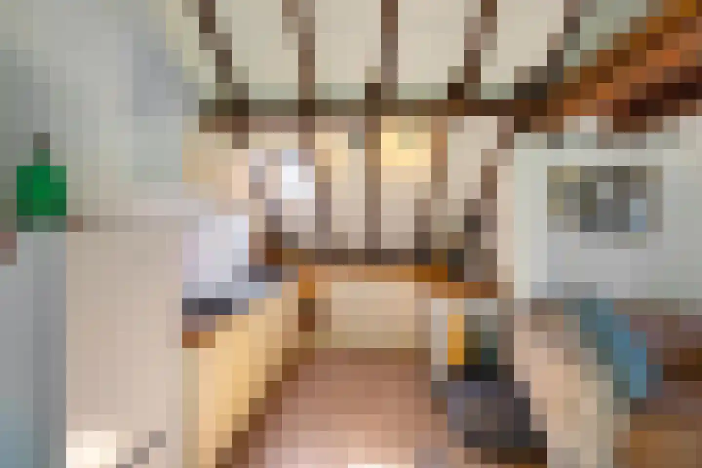 Commissiebos 6 Zevenhuizen thumbnail 50