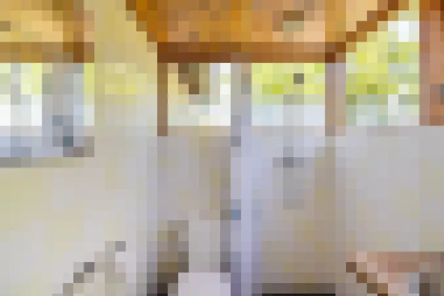 Commissiebos 6 Zevenhuizen thumbnail 54