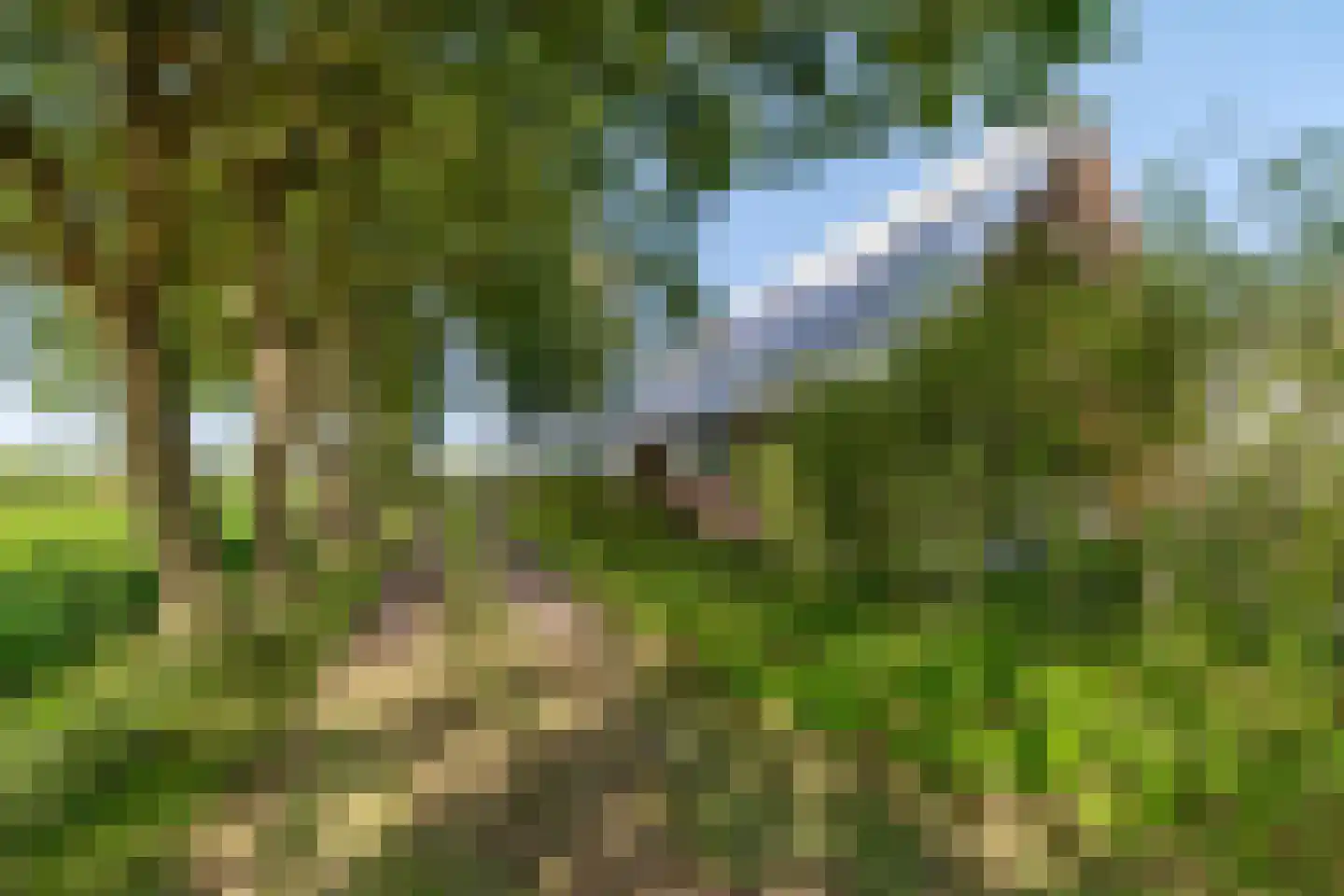 Commissiebos 6 Zevenhuizen thumbnail 7