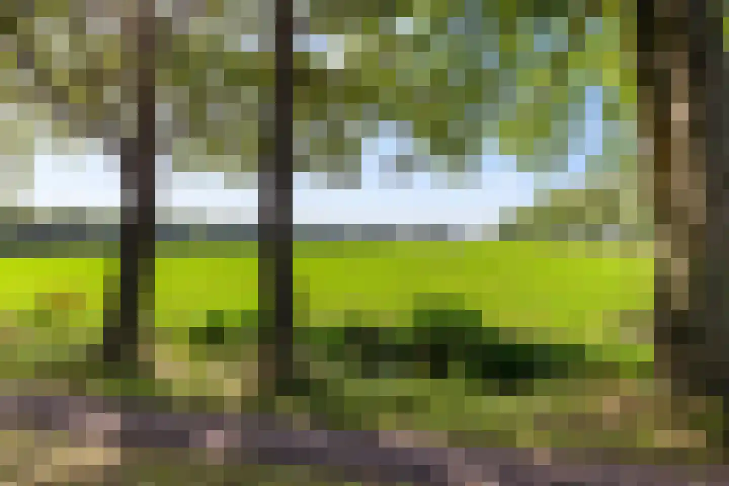 Commissiebos 6 Zevenhuizen thumbnail 9