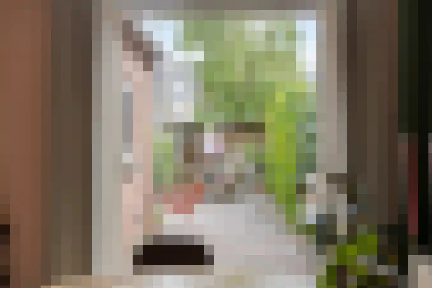 Commissiestraat 20 Zwolle thumbnail 15