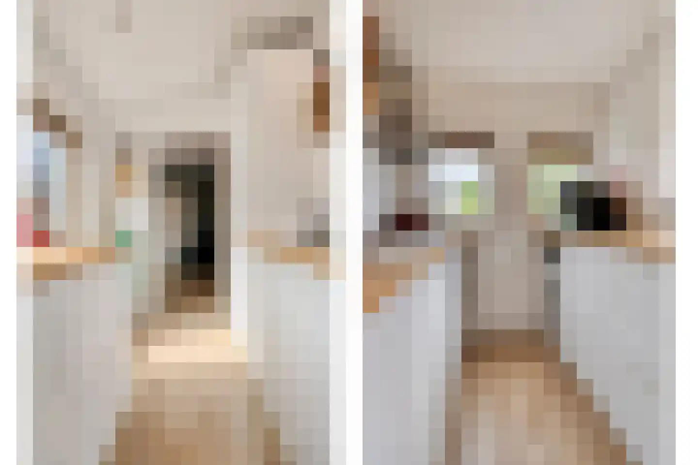 Commissiestraat 20 Zwolle thumbnail 19