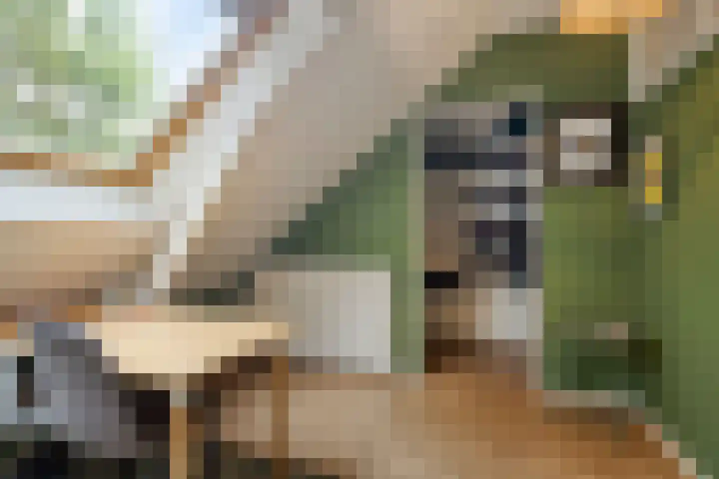 Commissiestraat 20 Zwolle thumbnail 29