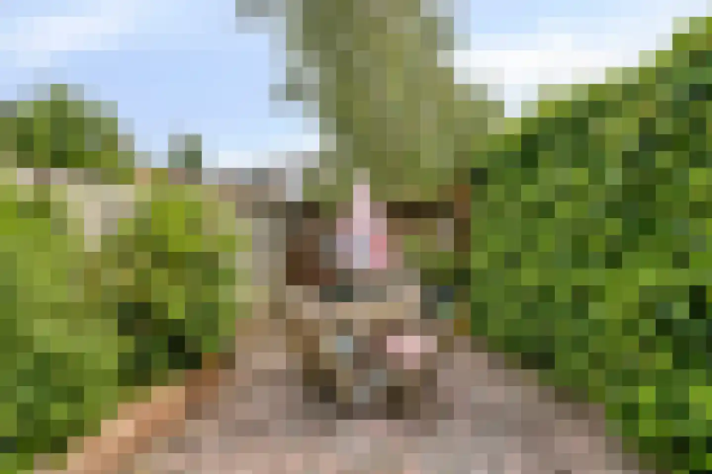 Commissiestraat 20 Zwolle thumbnail 32