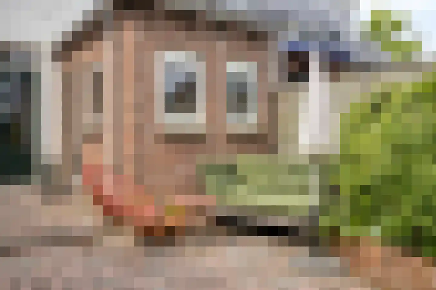 Commissiestraat 20 Zwolle thumbnail 33