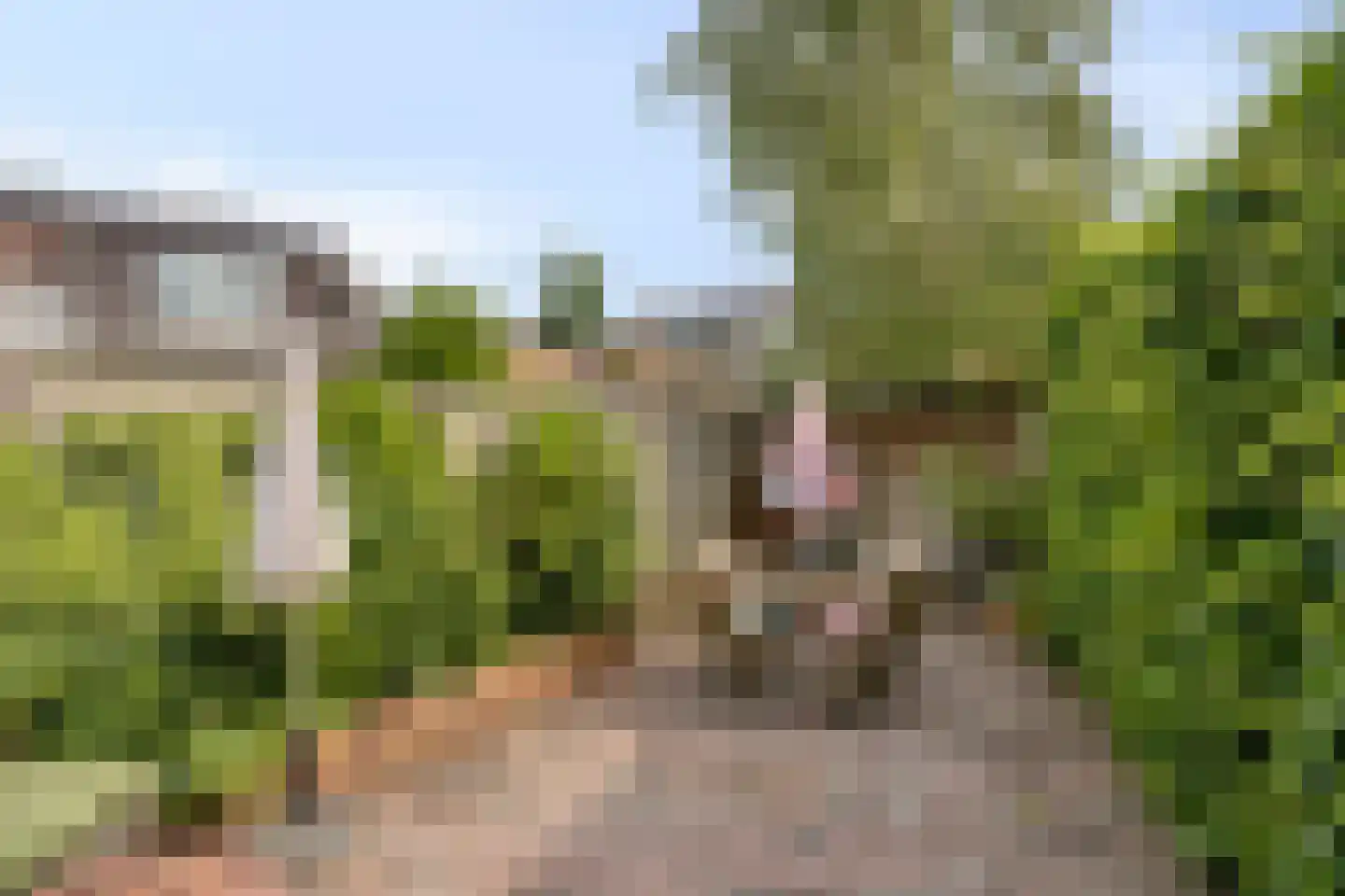 Commissiestraat 20 Zwolle thumbnail 5