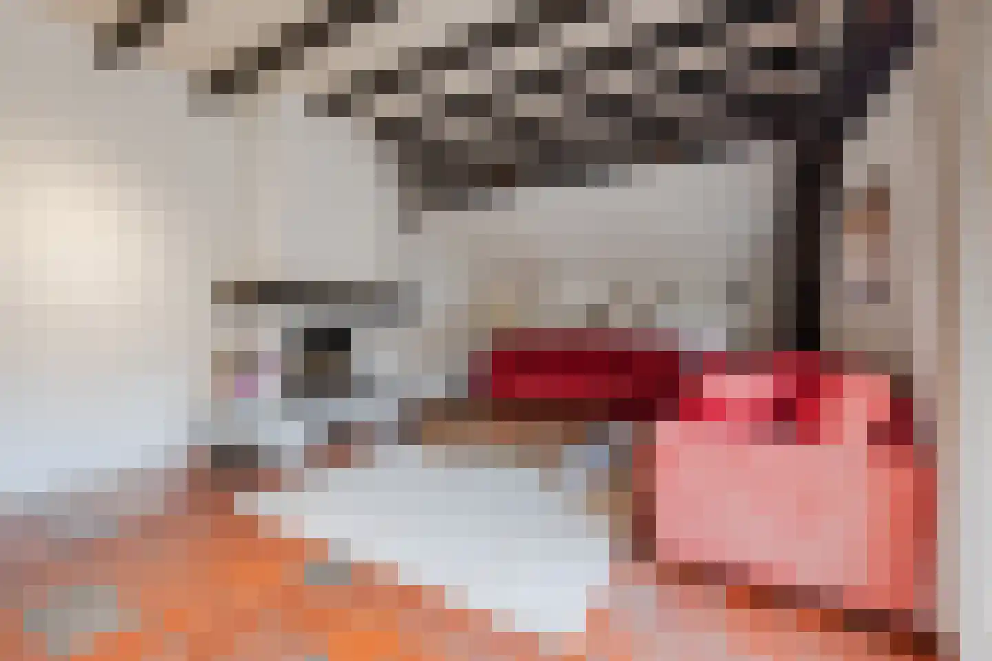 Commissieweg 1 de Wijk thumbnail 10