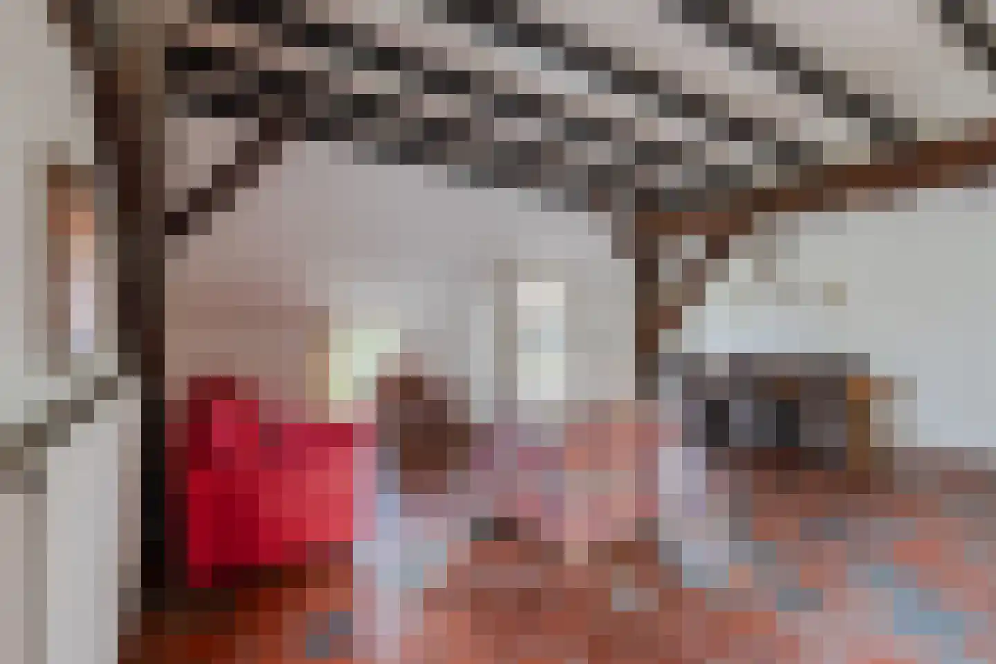 Commissieweg 1 de Wijk thumbnail 12
