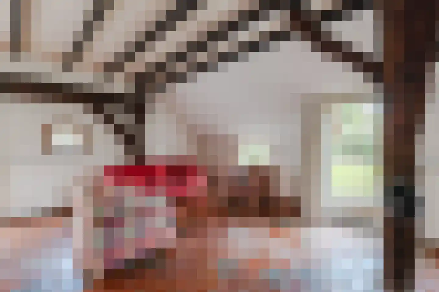 Commissieweg 1 de Wijk thumbnail 13