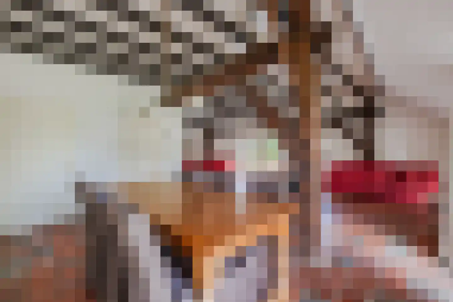 Commissieweg 1 de Wijk thumbnail 15