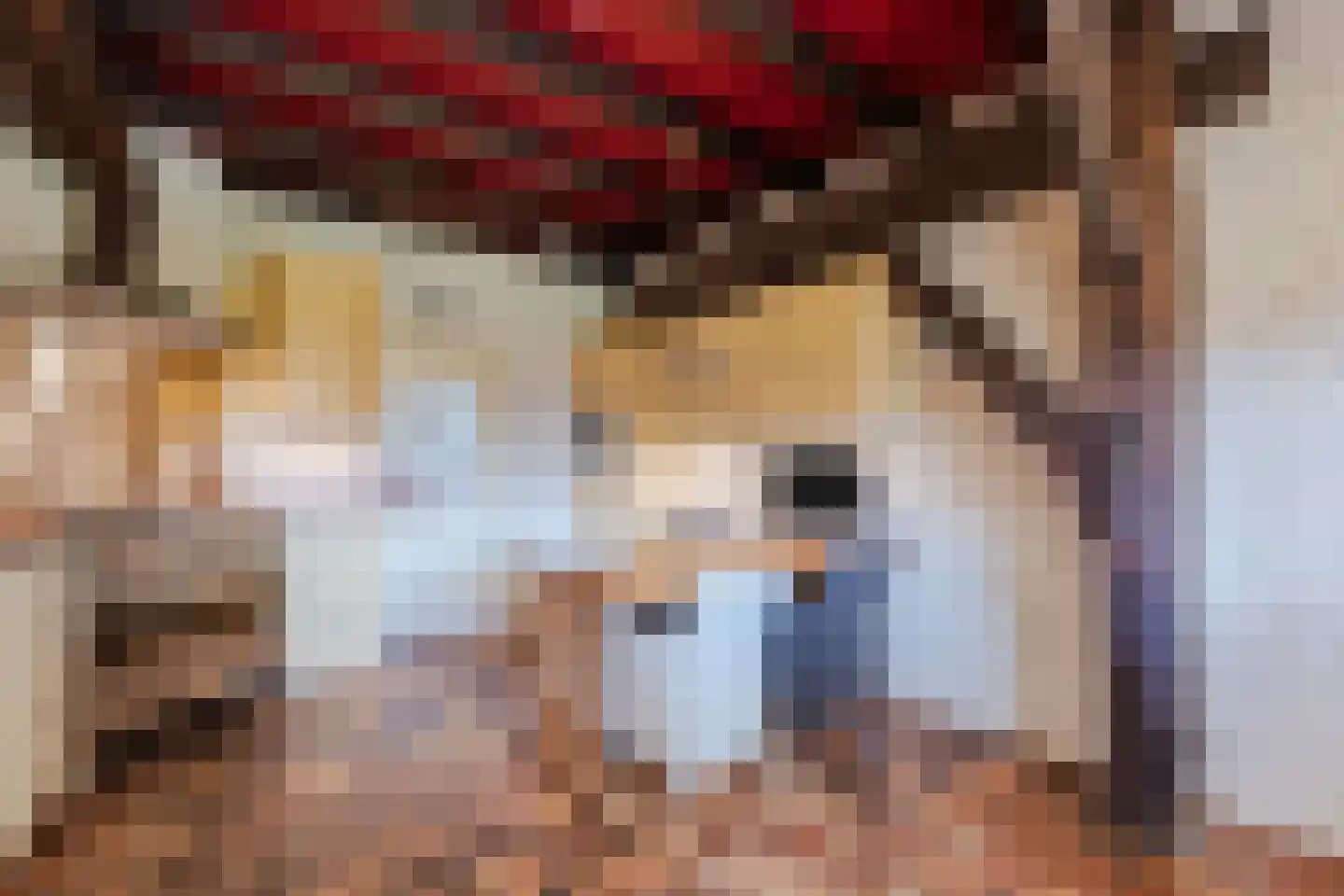 Commissieweg 1 de Wijk thumbnail 20