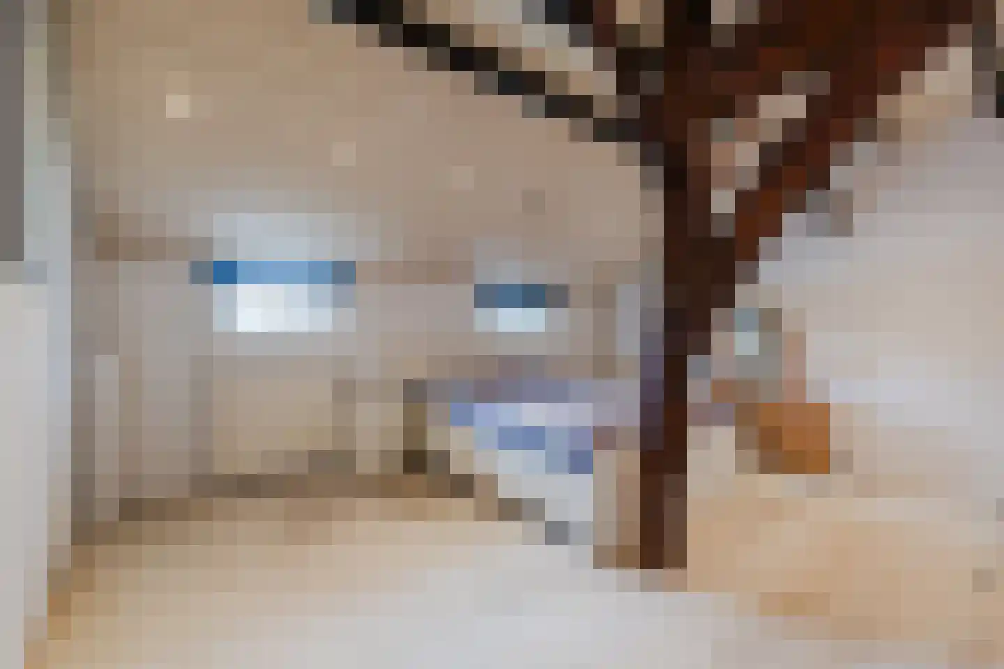 Commissieweg 1 de Wijk thumbnail 31