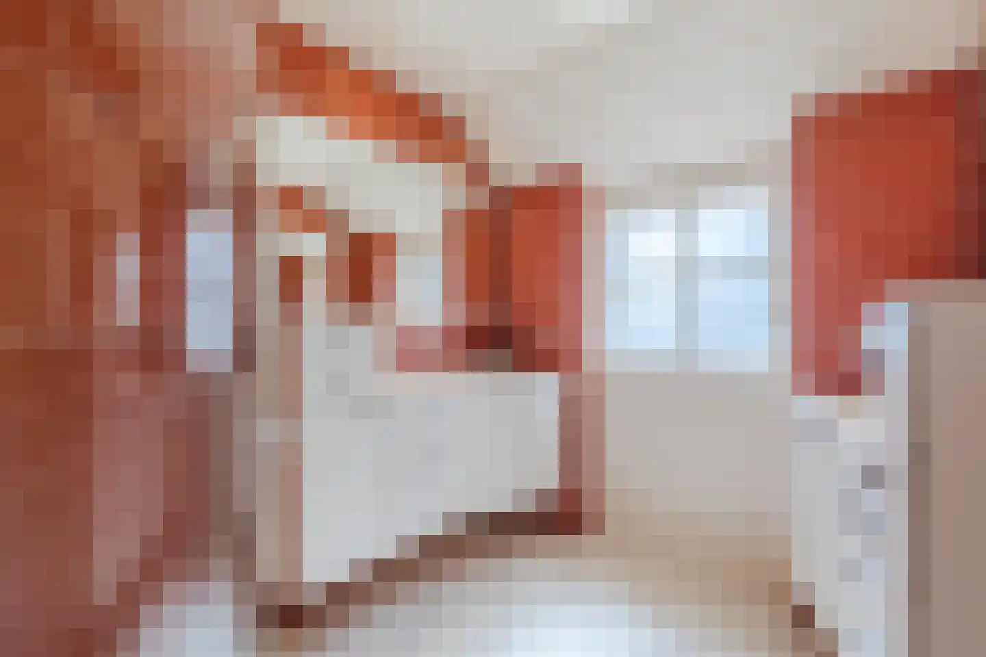 Commissieweg 1 de Wijk thumbnail 32