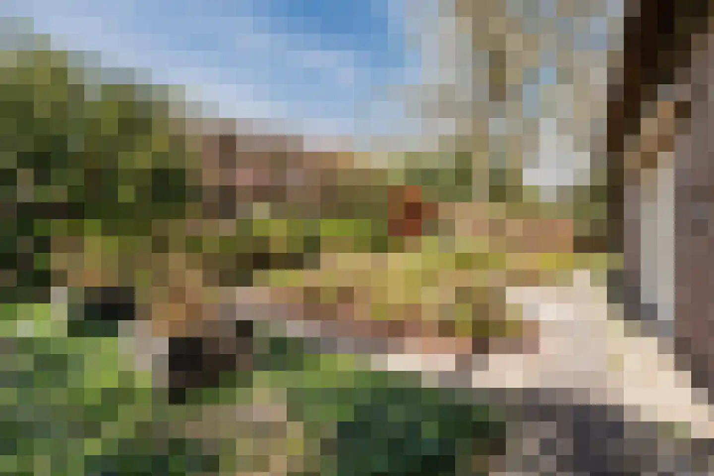 Commissieweg 1 de Wijk thumbnail 46