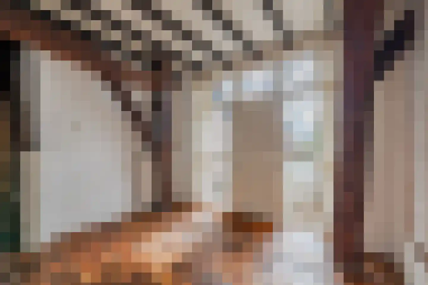 Commissieweg 1 de Wijk thumbnail 8