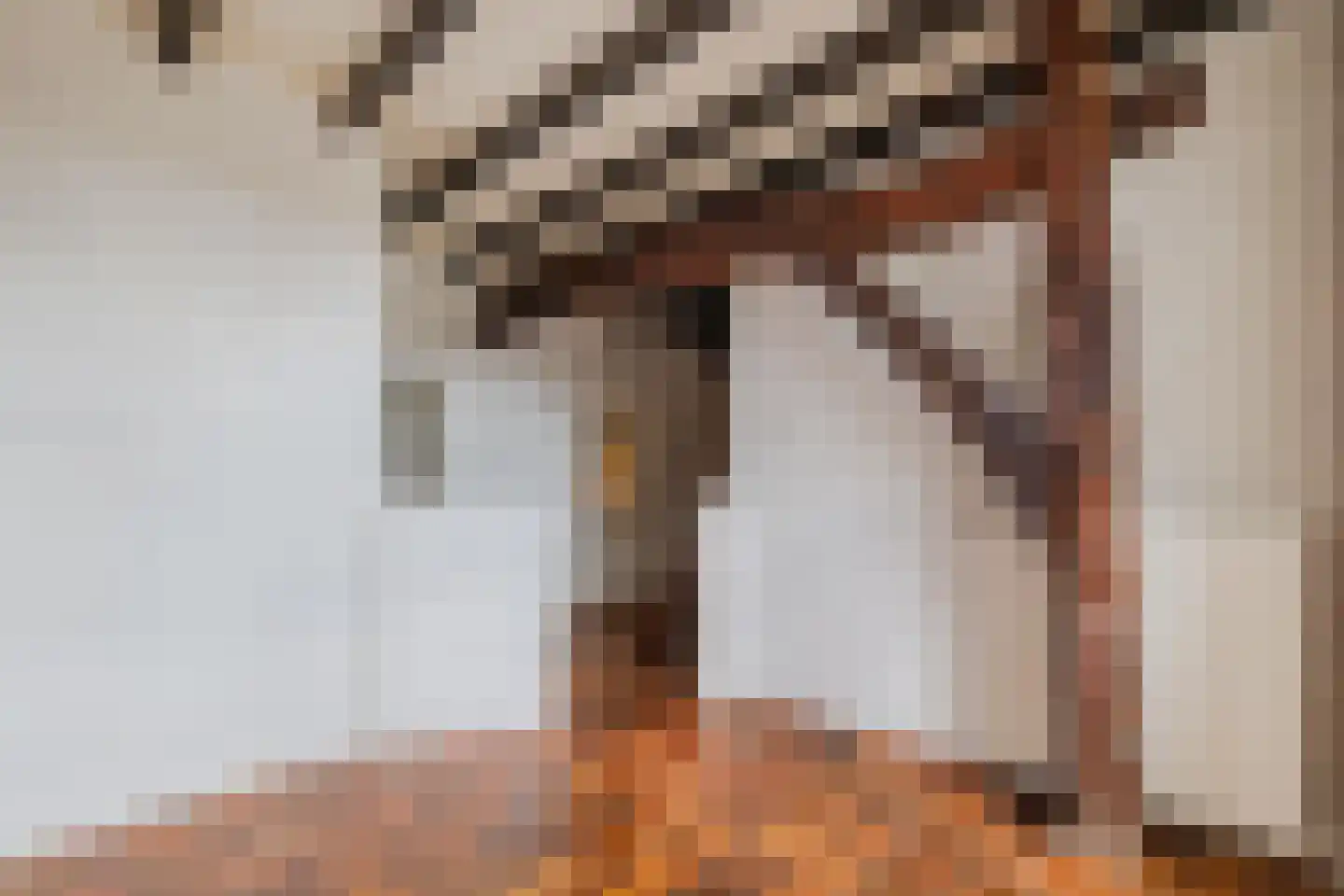 Commissieweg 1 de Wijk thumbnail 9