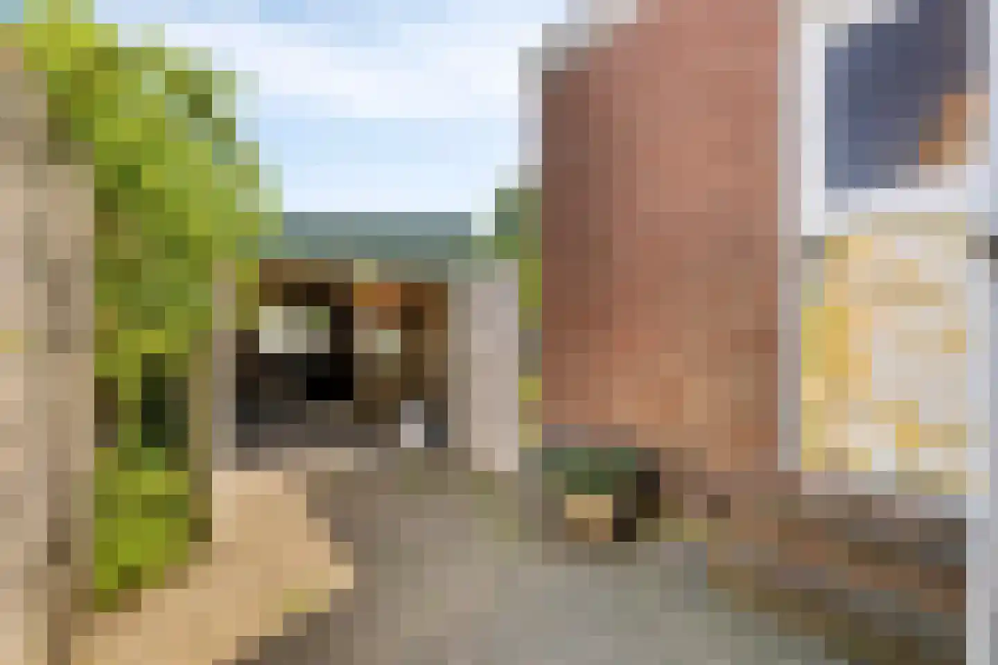 Communicatieweg Oost 4 Assendelft thumbnail 12