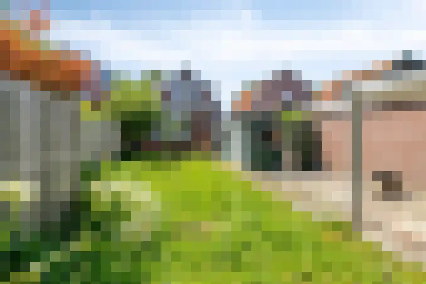 Communicatieweg Oost 4 Assendelft thumbnail 16
